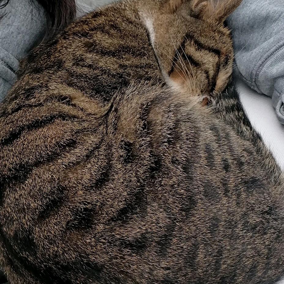 @看蓝田～美域蓝田～大美蓝田～舌尖勺勺客