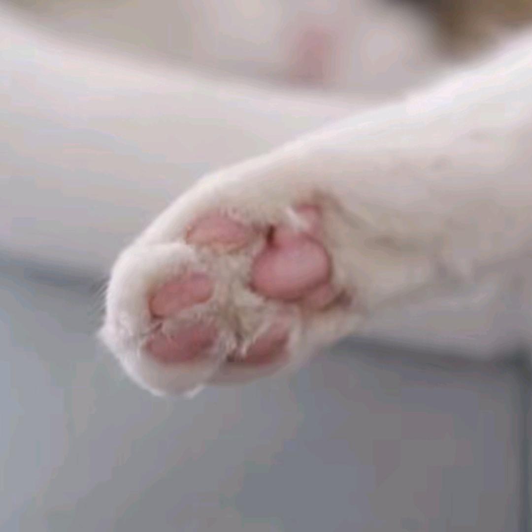 小蕴