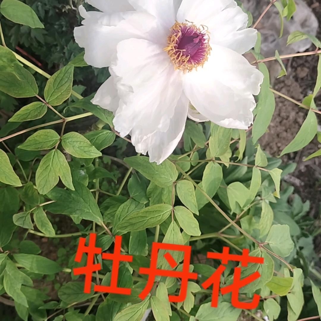 冬天的太阳