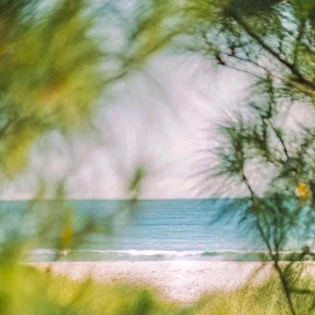 浅浅