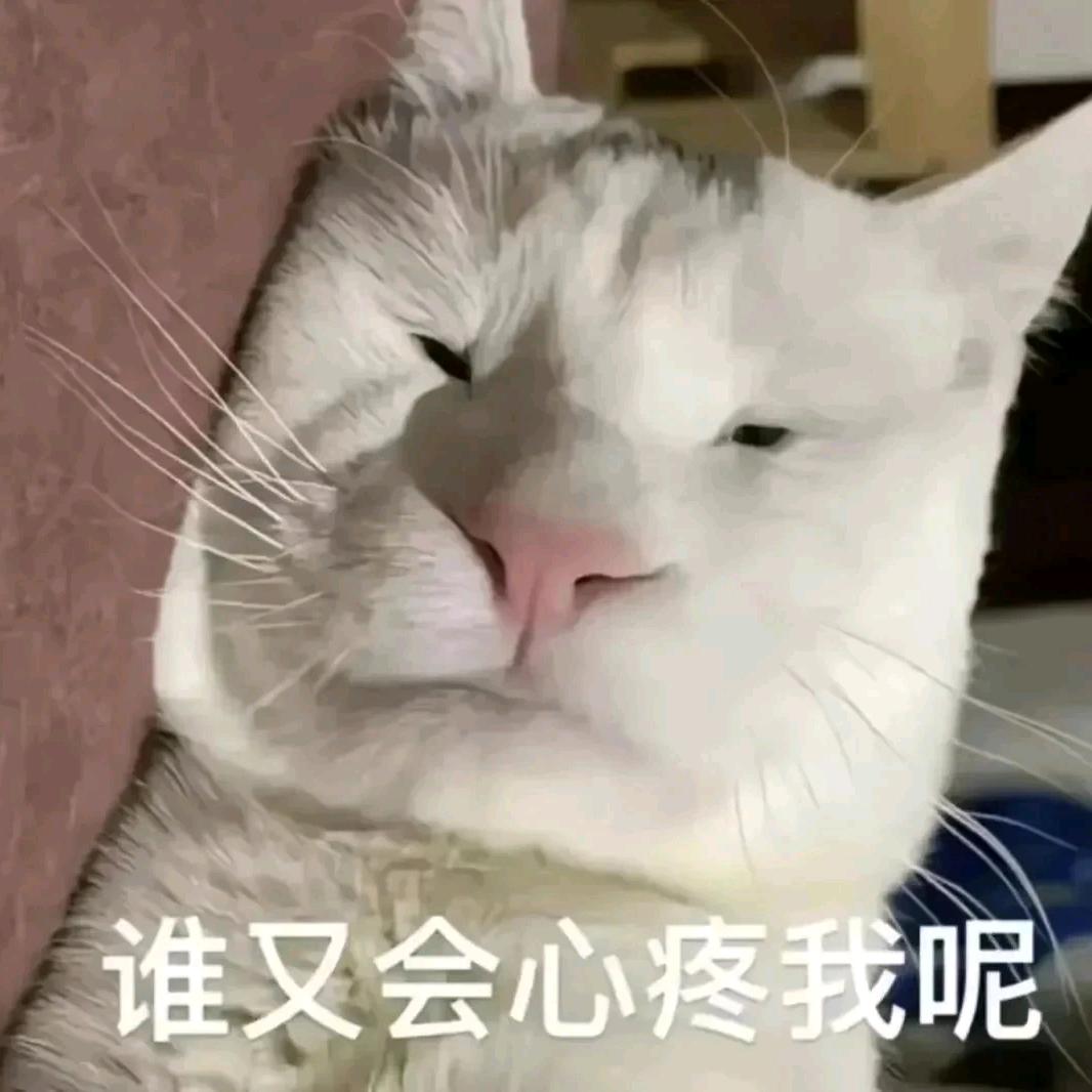 肆松