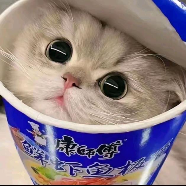 小小丸子