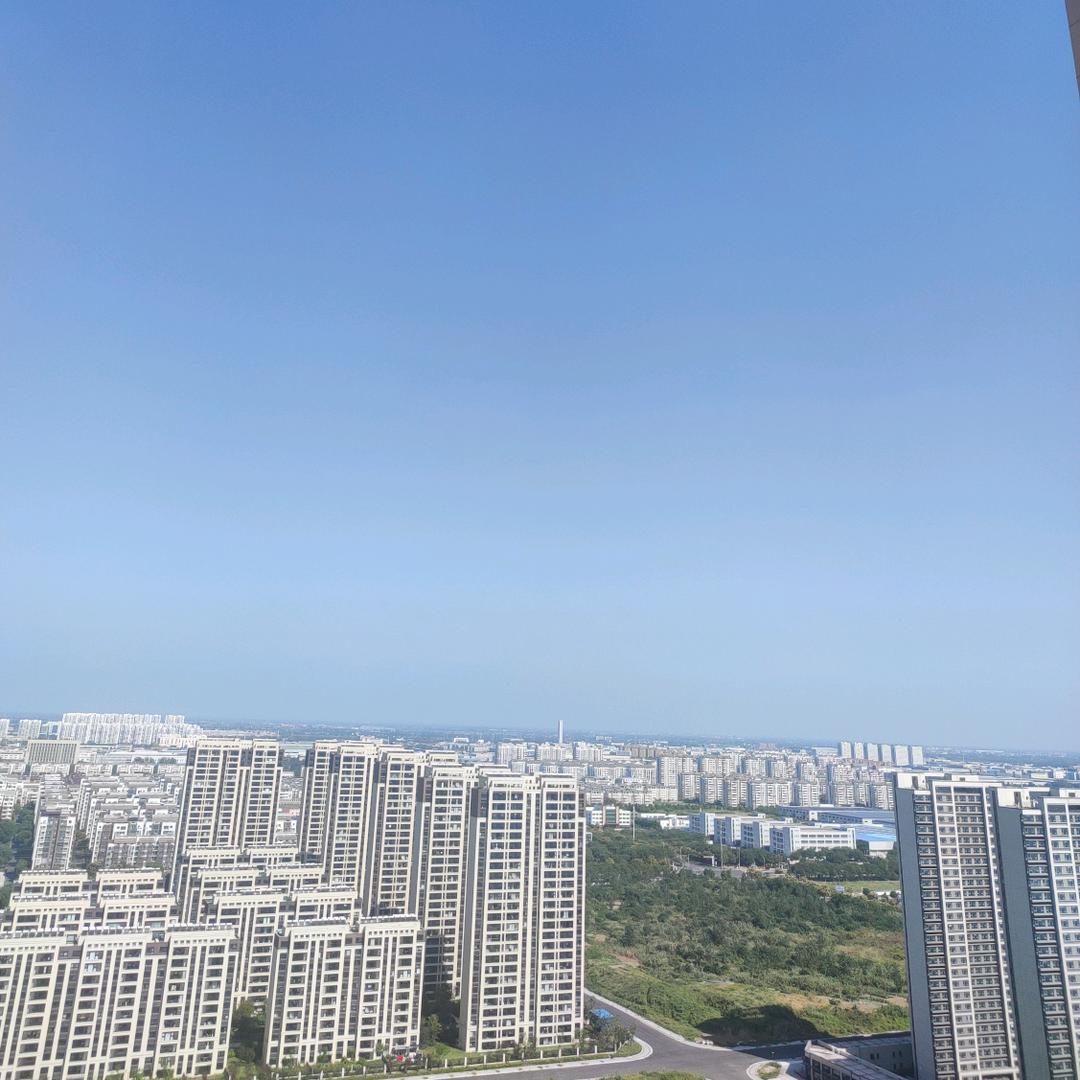 金江苑薇薇中介鱼塘