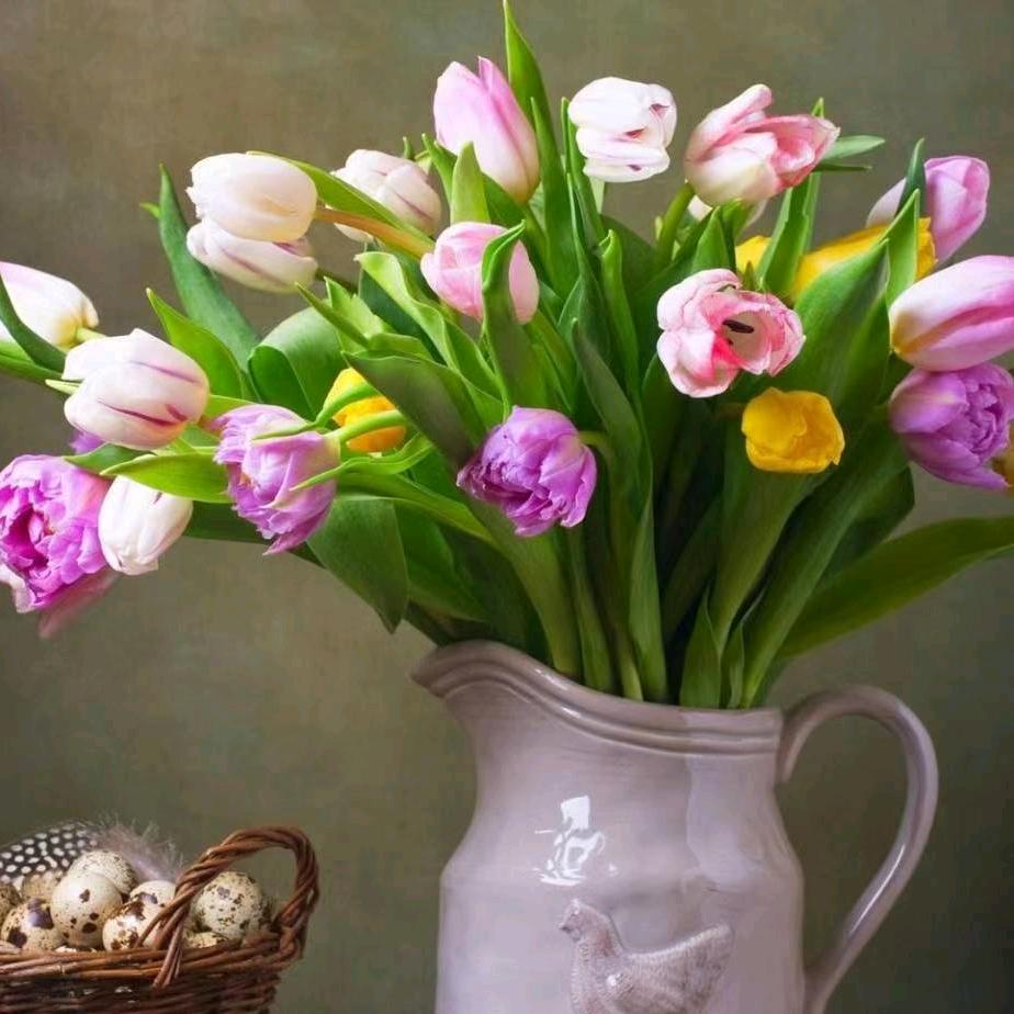 向阳花