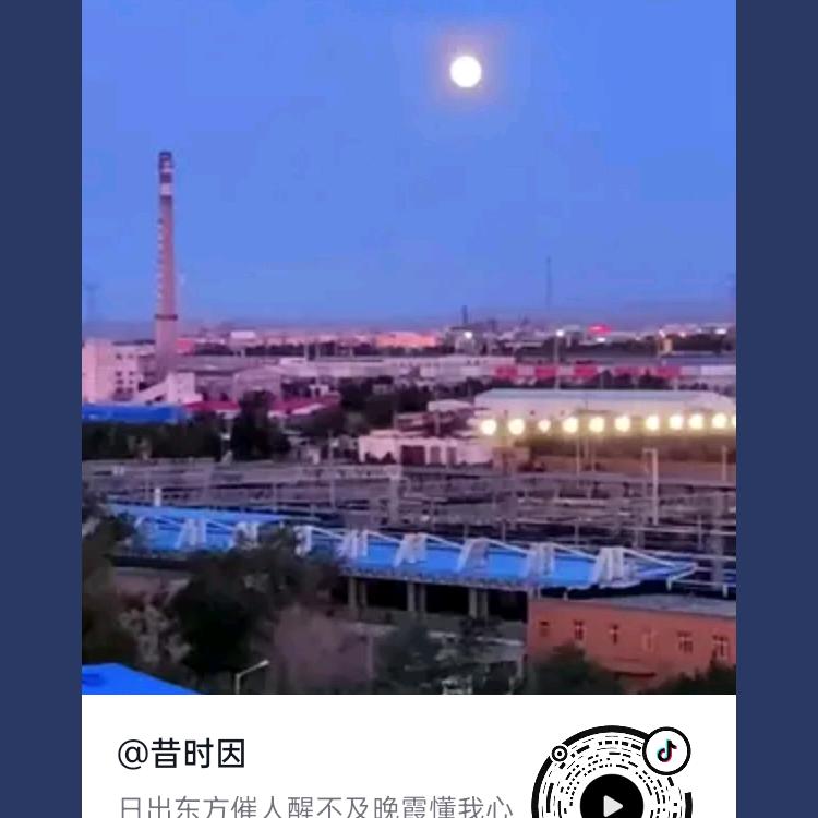 🧜🏻‍♂️阳光