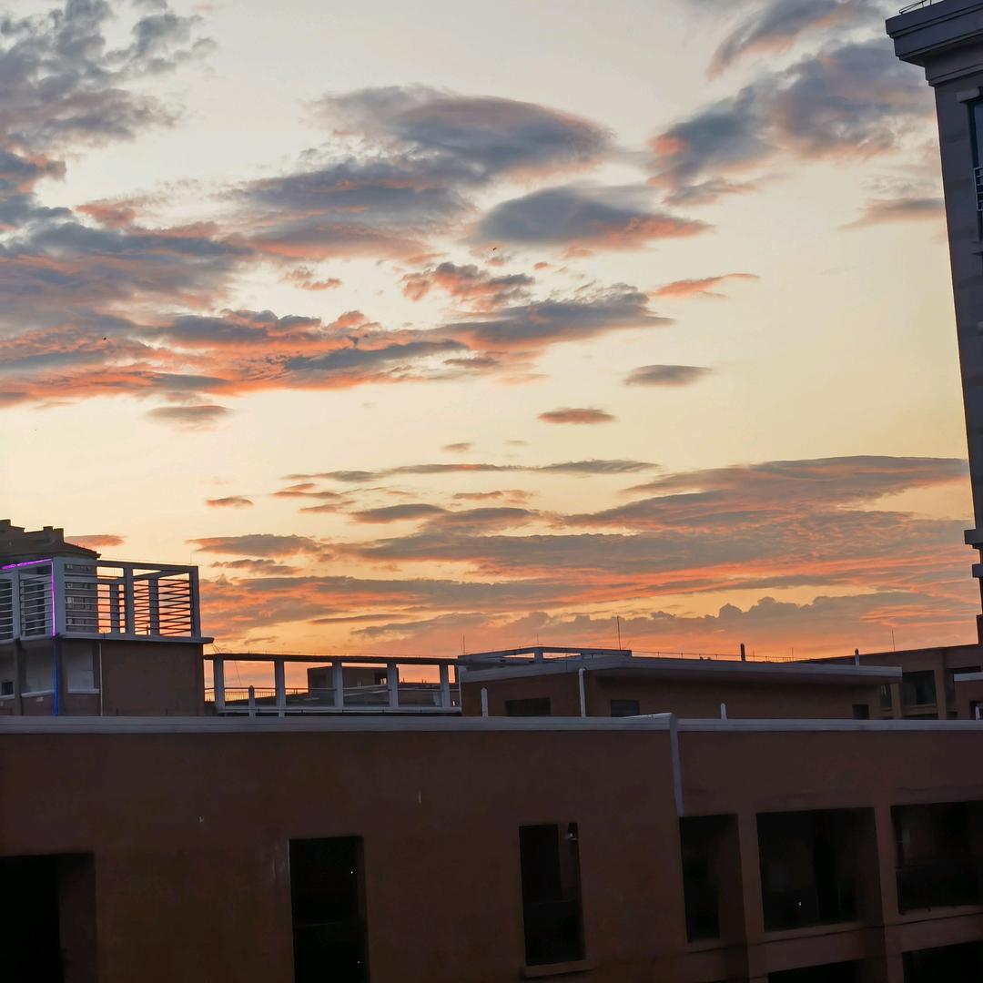 灵灵的逍遥客。