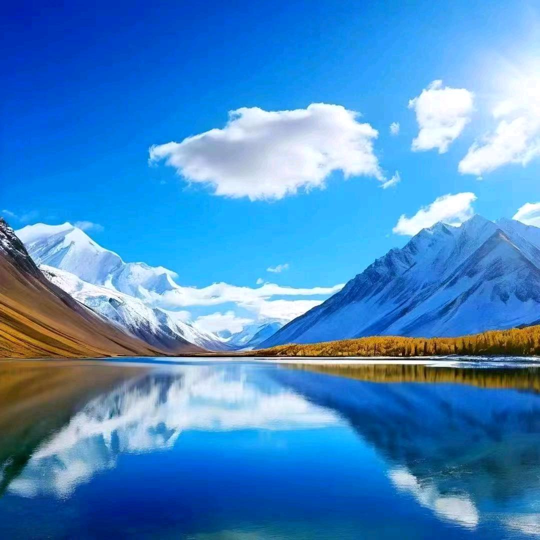 开心钓鱼🐠🐠🐠