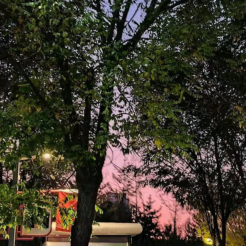 超级无敌肉馅包