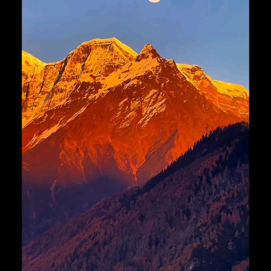 势在必涨🚀🚀