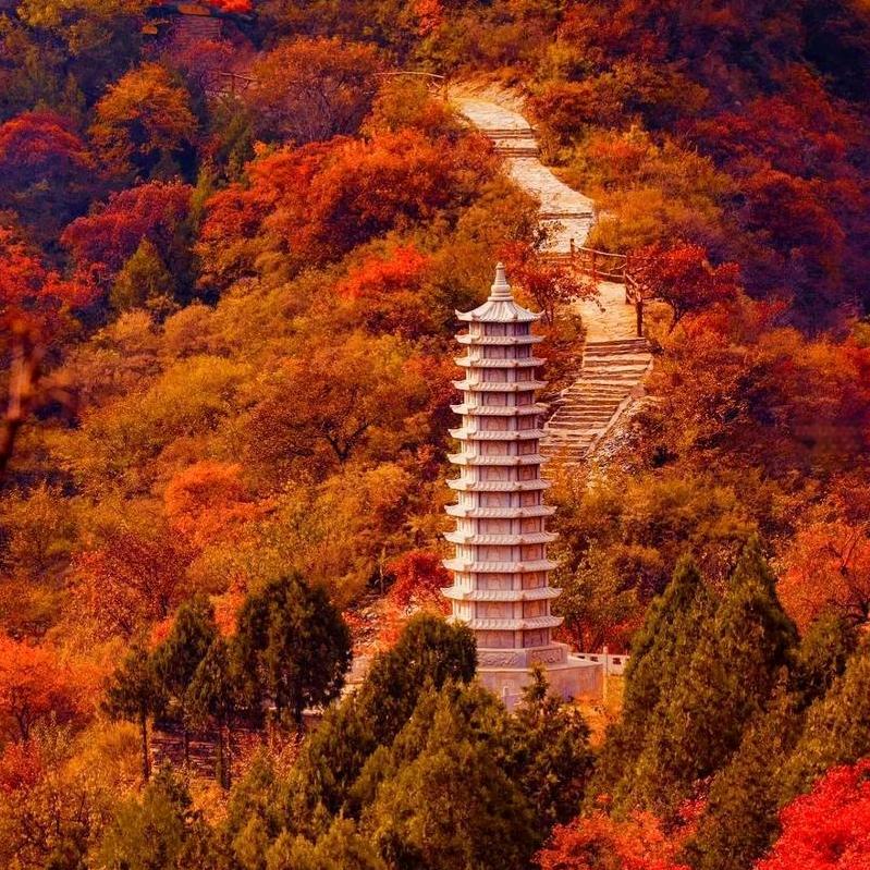 十月深秋