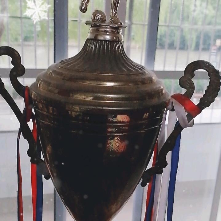 龙