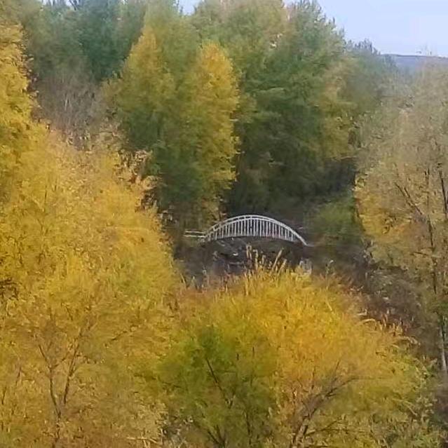 没钱限制了一切。