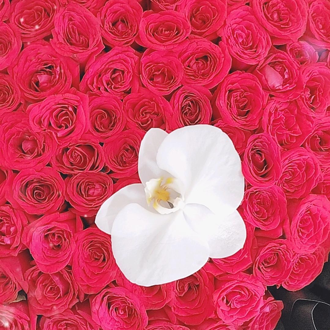 ♡秋水伊人♡⁸²⁴🌺