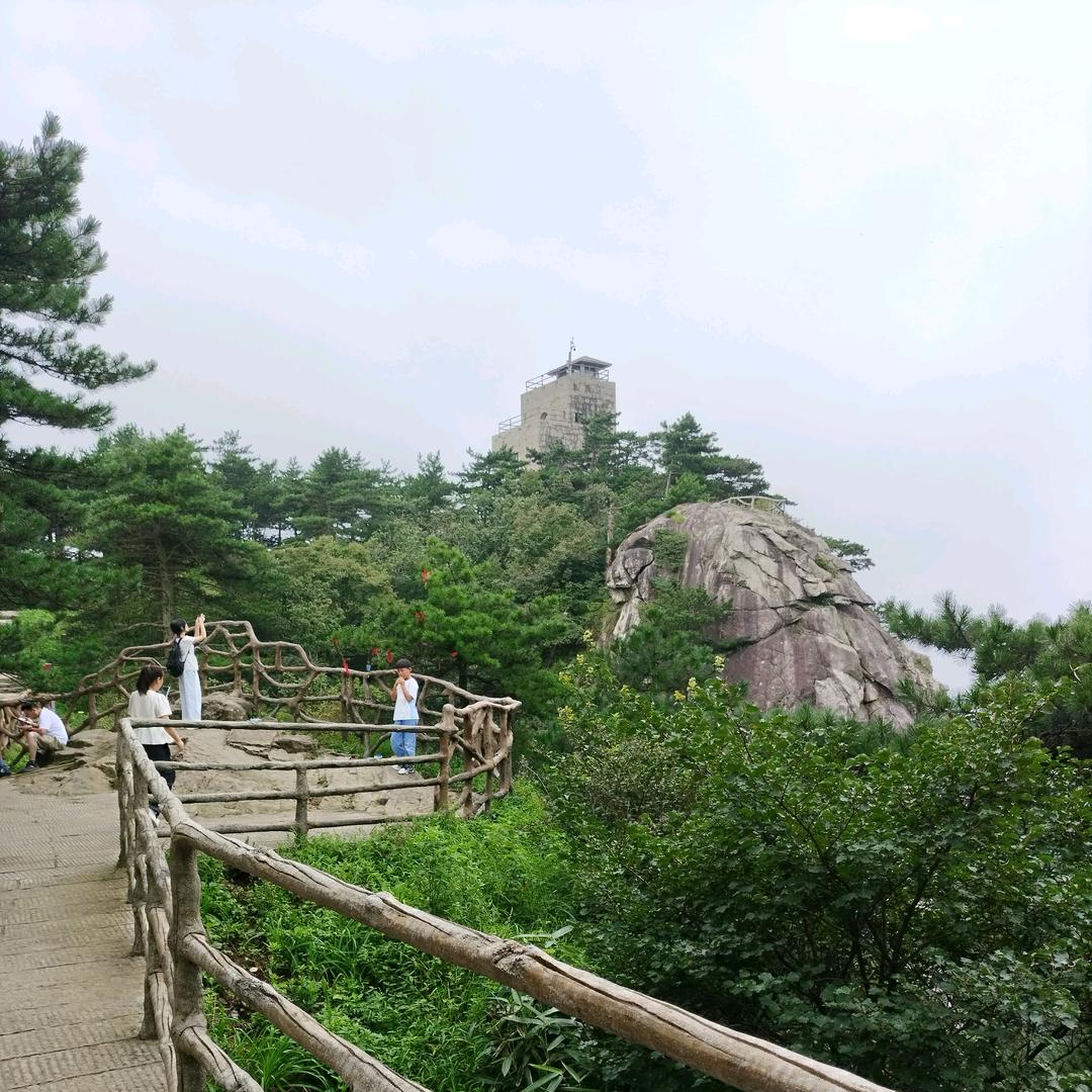 雪中寻梅