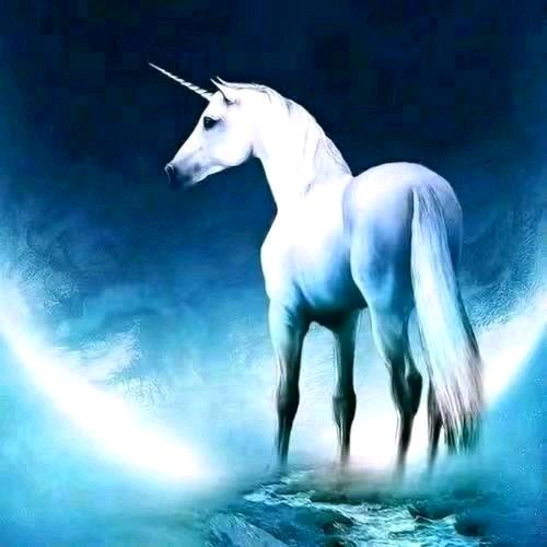 霸道总裁(重生号)嘉年華赛