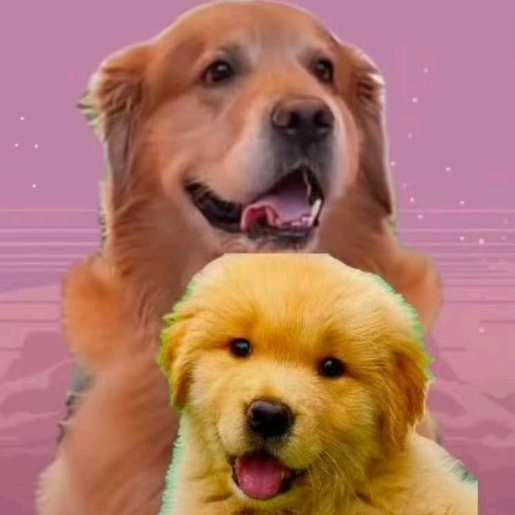 &躲雨的蘑菇&