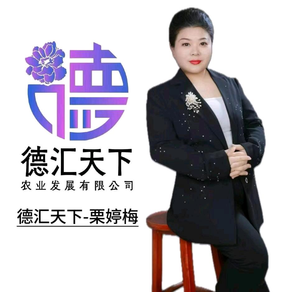 德汇天下，栗婷梅3