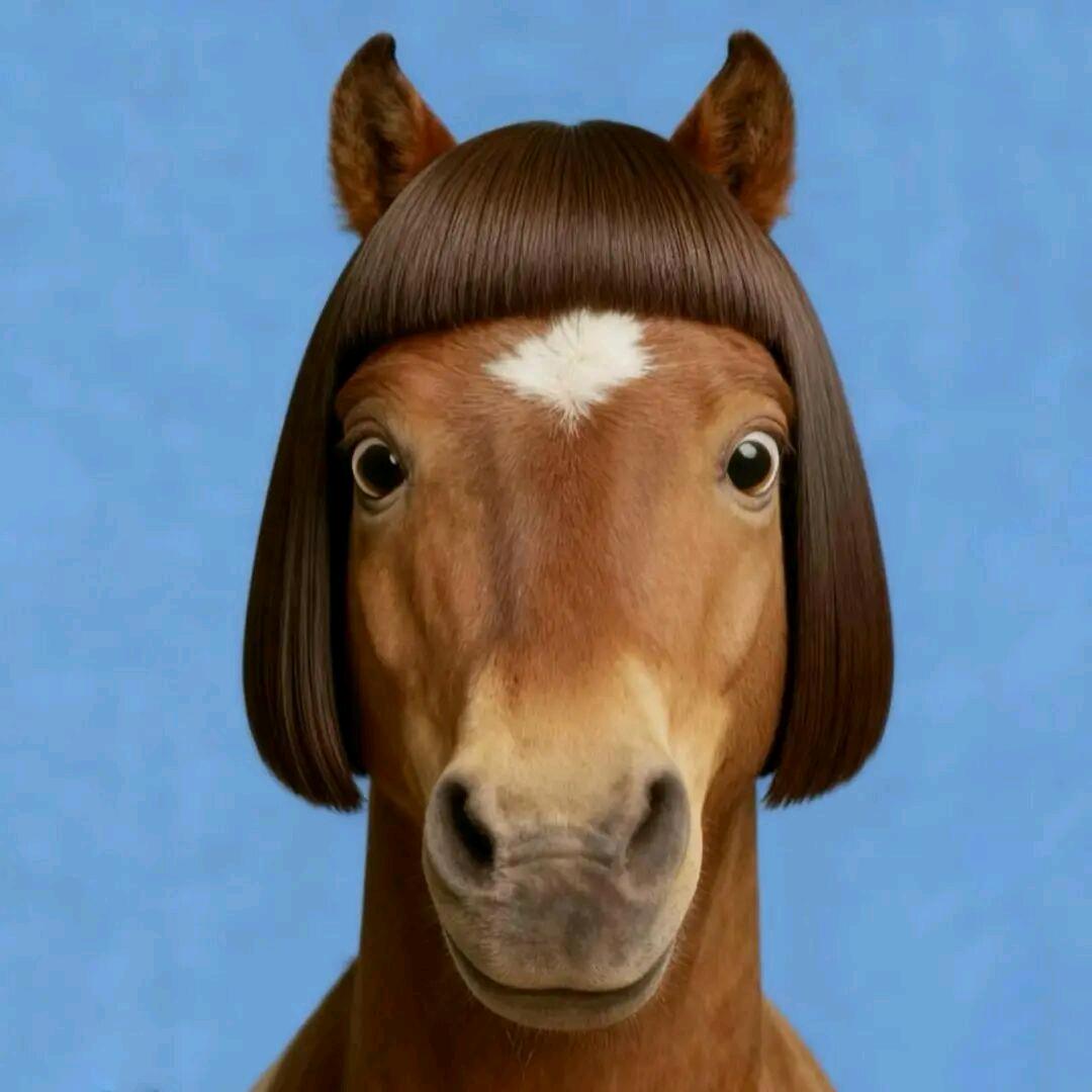 龙江大舞台，有梦你就来