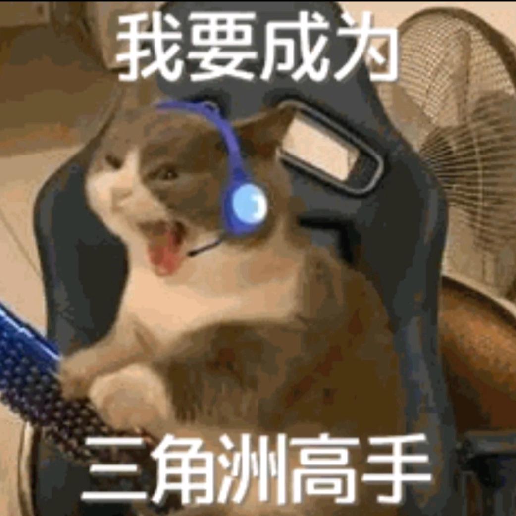 迷路王（三角洲行动）