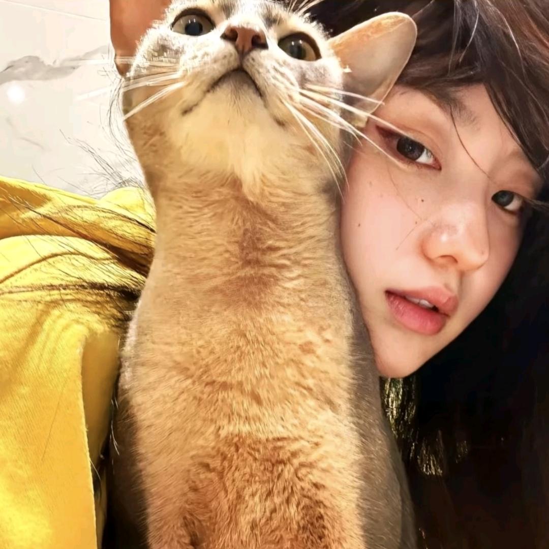 ᴳ