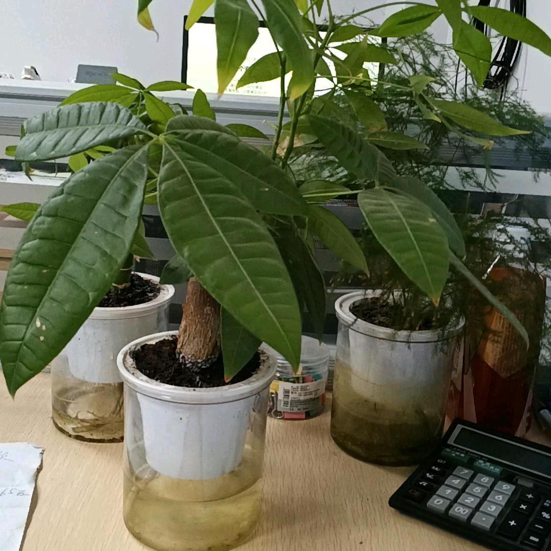 以后做好自己就可以了