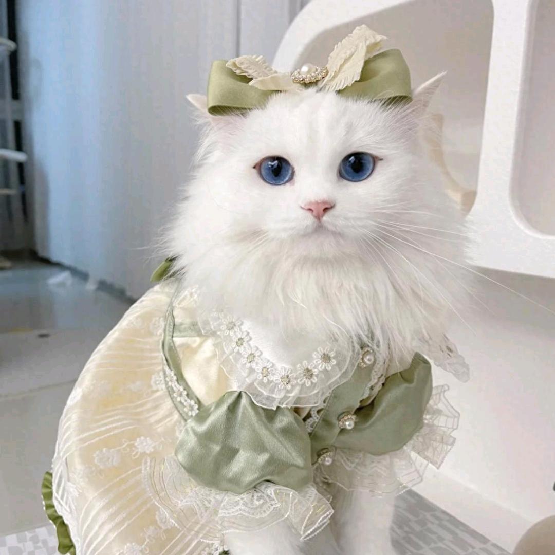 明芳芳