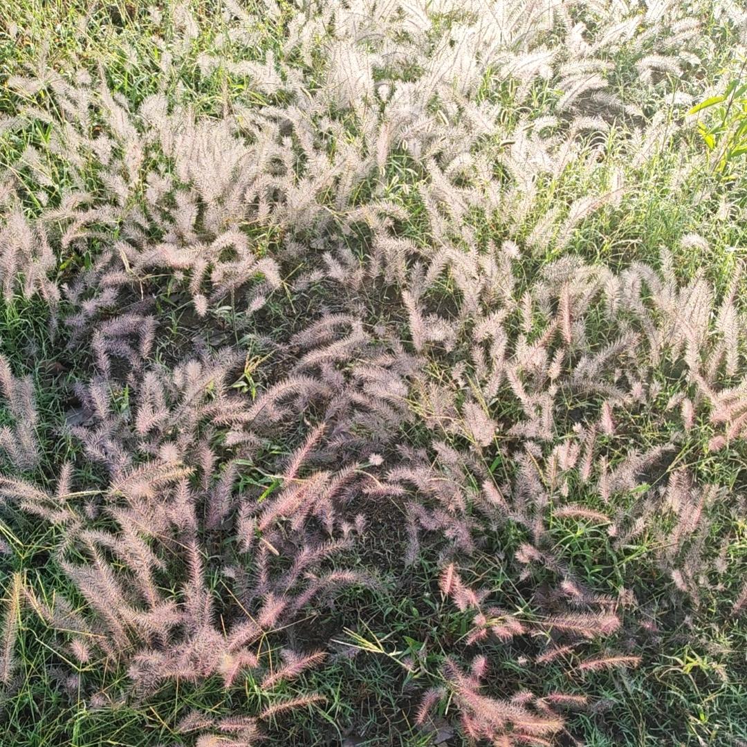 我可不是一个小哭包欸