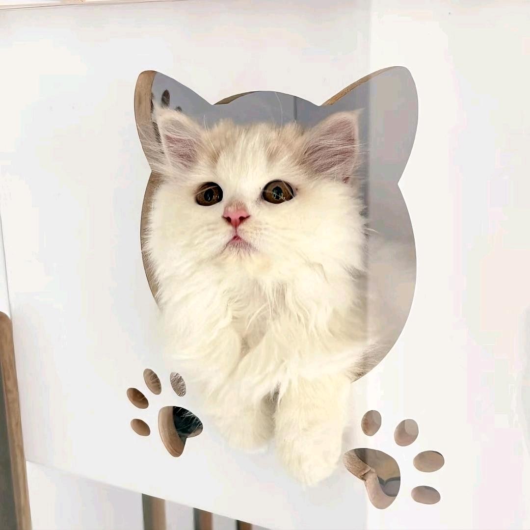 醴陵金玉堂寄卖行——ziiiii 🐱