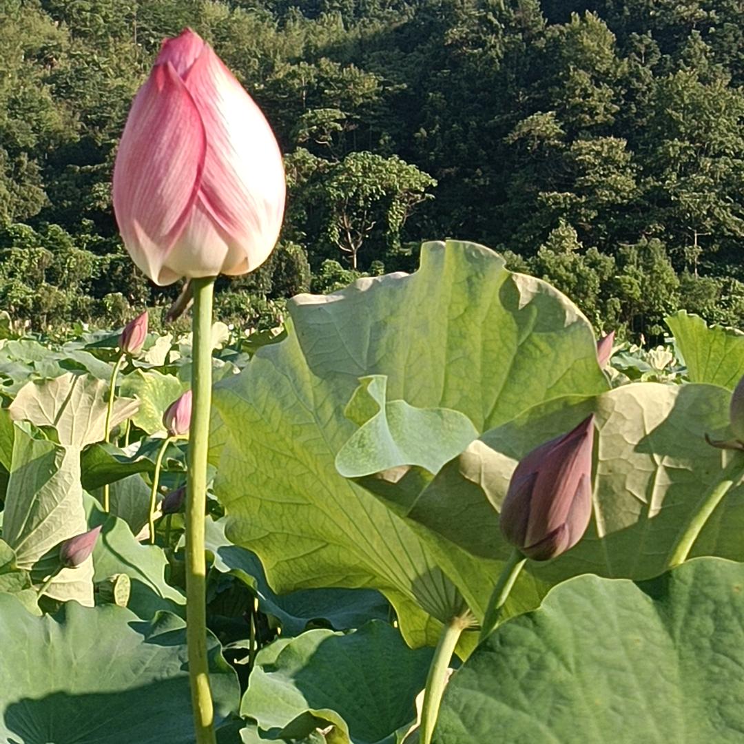 容