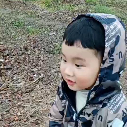 严大司