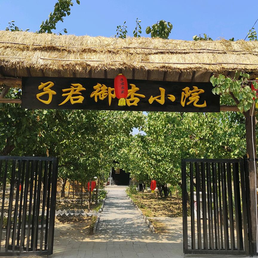 子君《农家乐》
