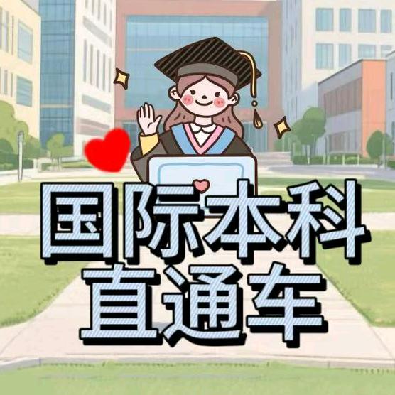 国际本科直通车小助理