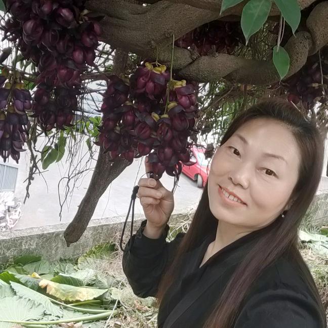 香姐