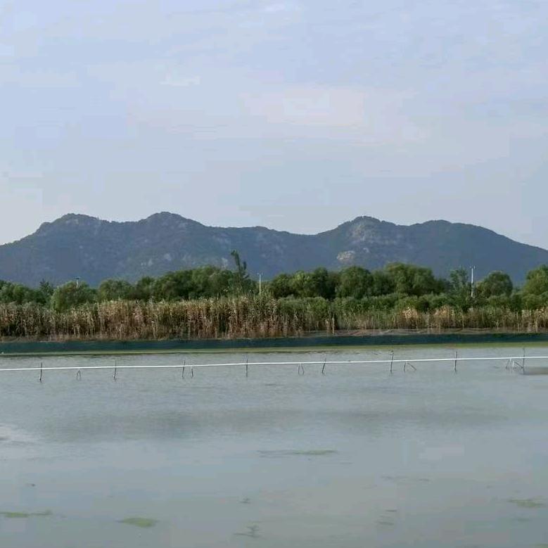 众渔康厂家直销—蕾蕾