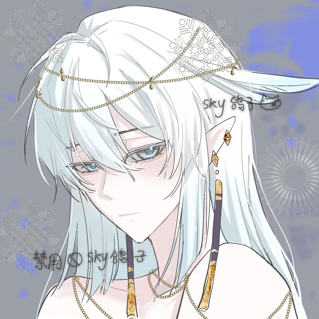 sky鸽子