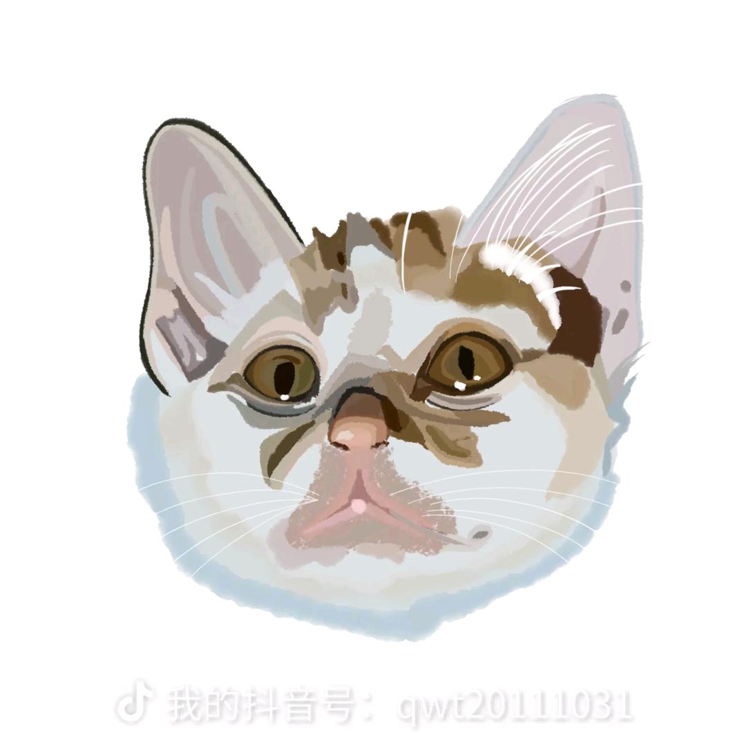 格风二(求流量版)