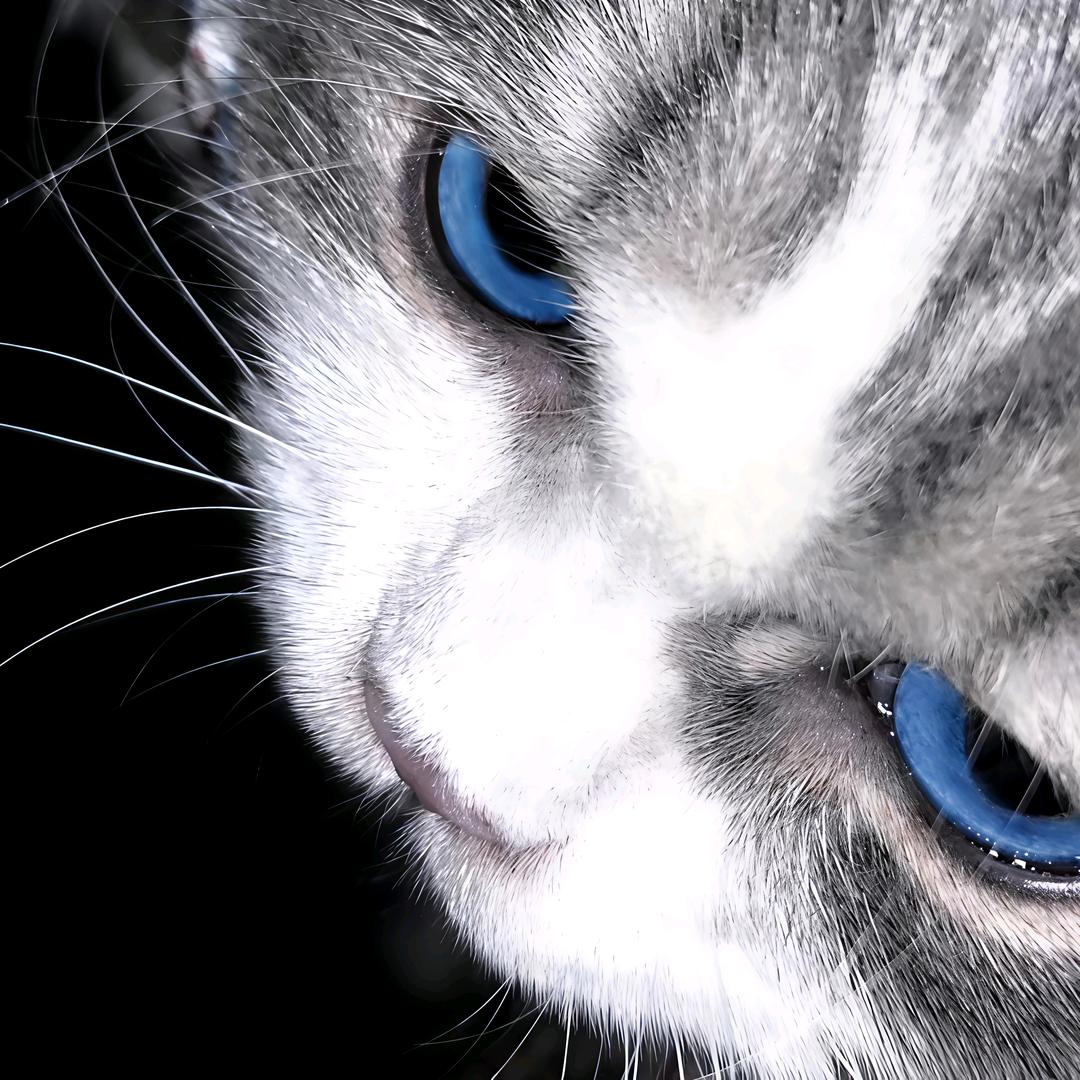 我他妈的纯爱啊