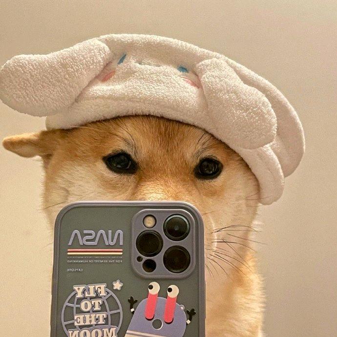雾里