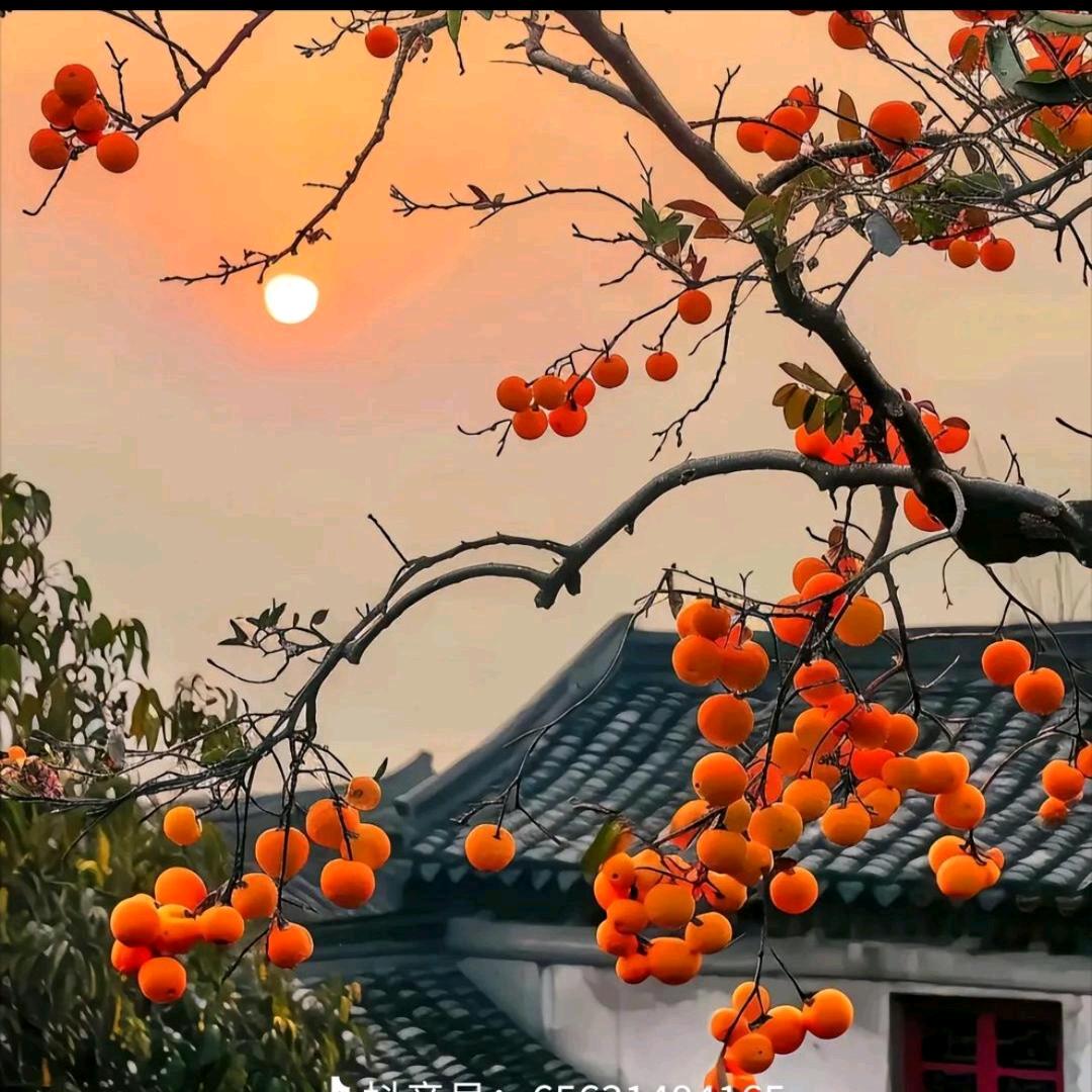 如意