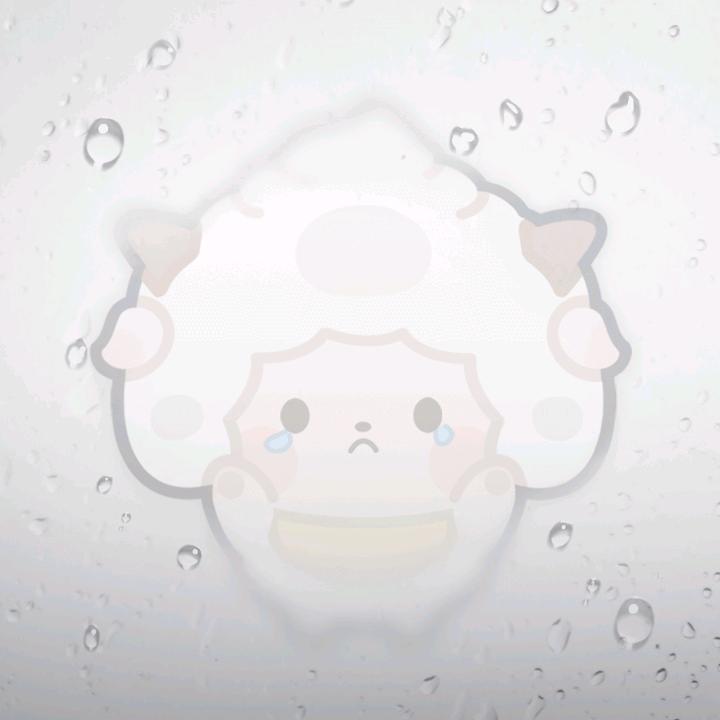 雨天Zhou6