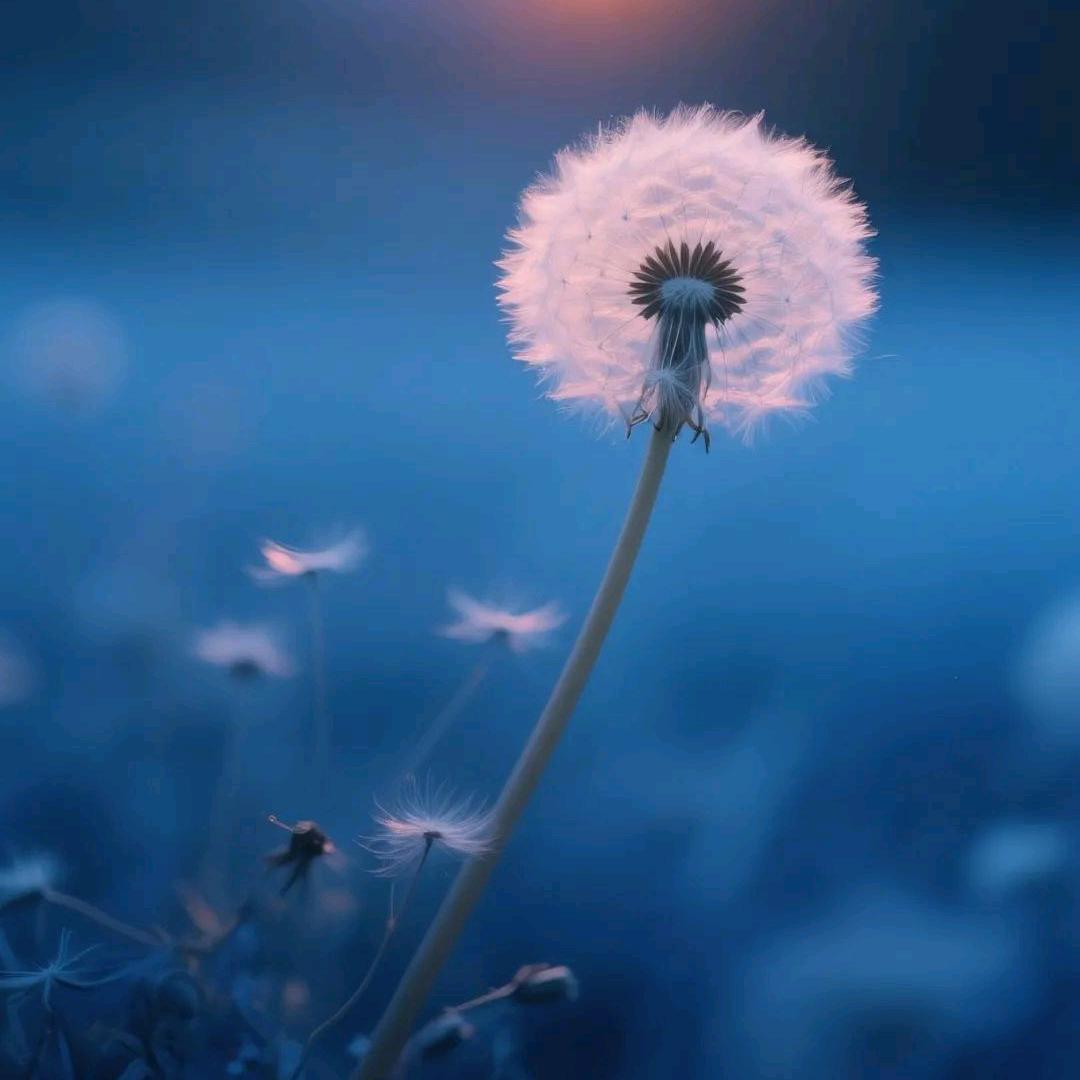 一夜一场秋