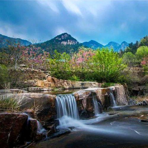 心向阳光  一路徜徉