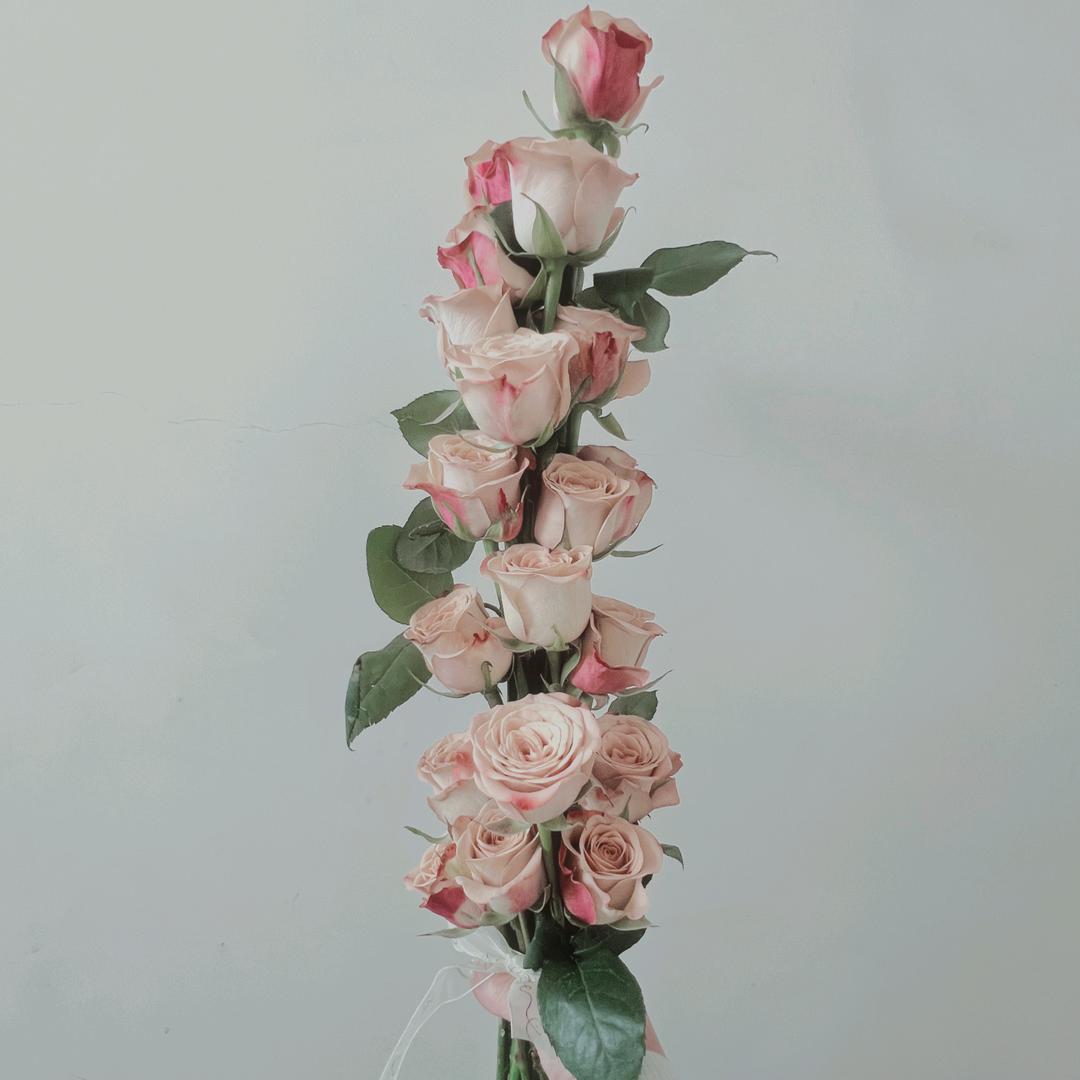 小时候0802