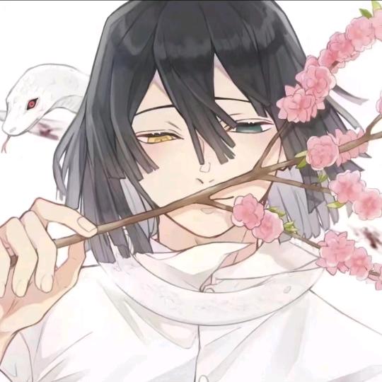 星沉