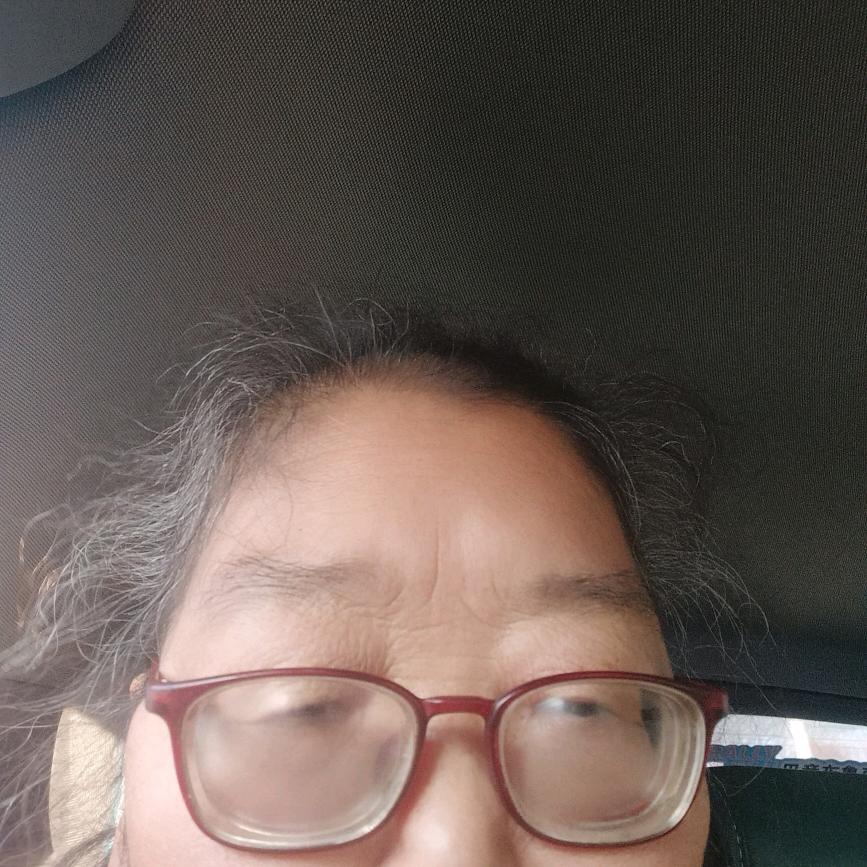 花开富贵冬天的梅花