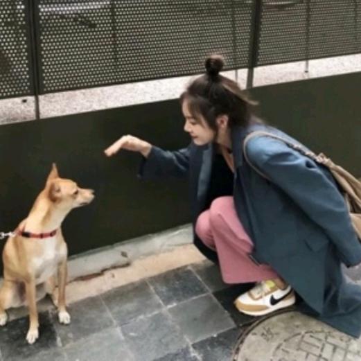 一只咩。