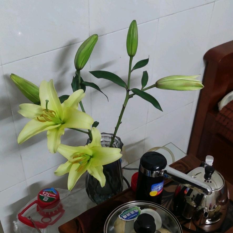 祥临天下