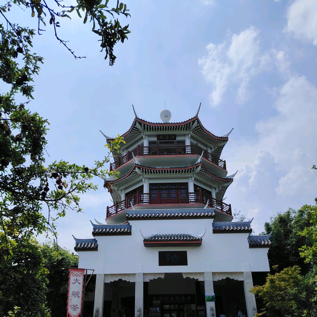 李老师讲化学