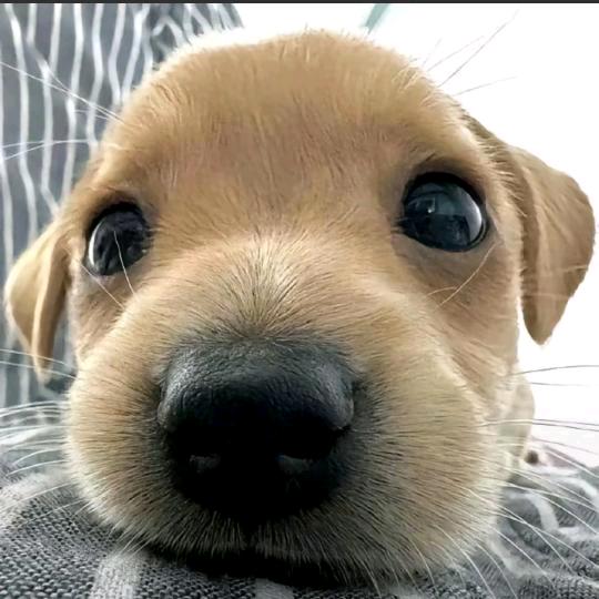 在外不要喊我大名