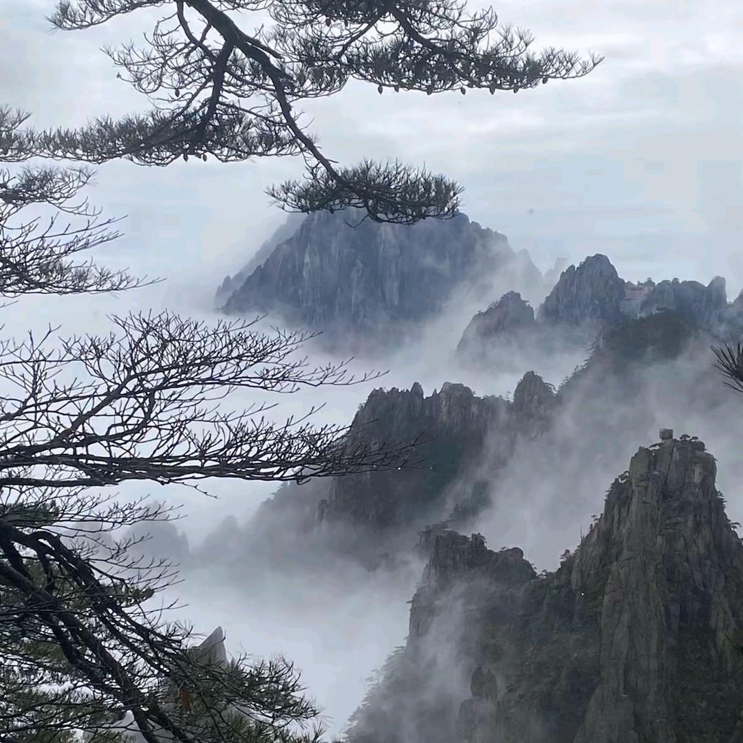 垫脚望北